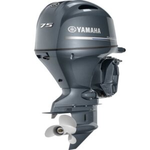 2019 Yamaha 60 HP T60LB Outboard Motor